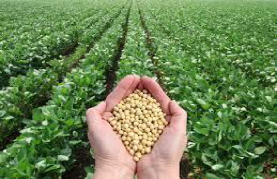 Agriculture